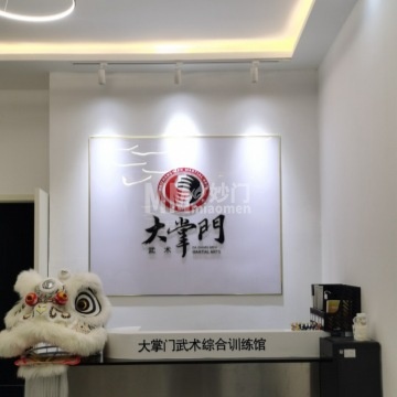 北京大掌门武术综合训练馆