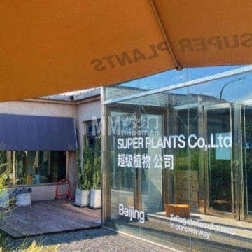 超级植物SUPER PLANTS（工作室店）