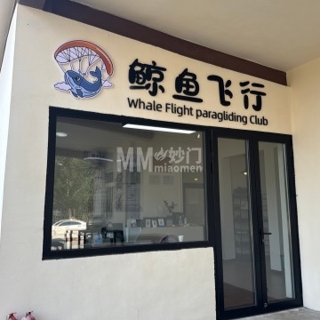 鲸鱼飞行滑翔伞飞行营地