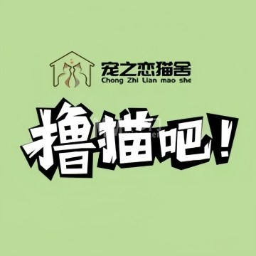 宠之恋猫舍·撸猫吧-购宠-妙门养生体验网