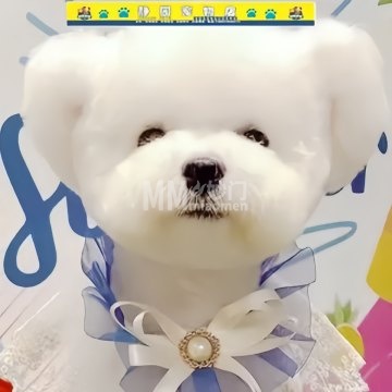 静园宠物店-购宠-妙门养生体验网