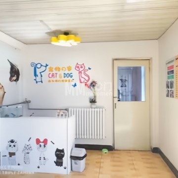 米九宠物家-购宠-妙门养生体验网