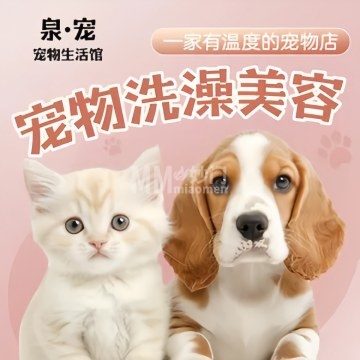 泉·宠宠物生活馆-其他宠物服务-妙门养生体验网