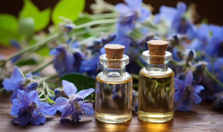 北京男士春季养生指南,如何在忙碌中稳住身体状态-资讯信息1-妙门养生体验网 北京男士春季养生指南,如何在忙碌中稳住身体状态-资讯信息1-妙门养生体验网