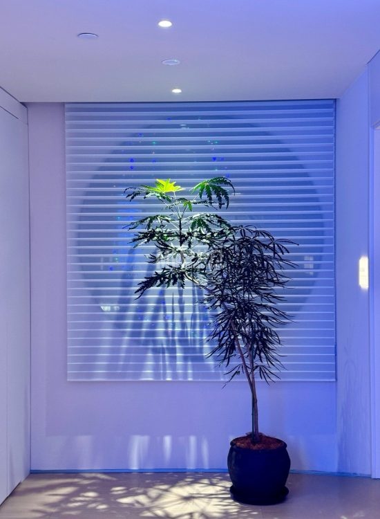 丰台区方庄个人SPA工作室推荐｜Mico私人SPA真实体验分享-探店笔记-妙门养生体验网