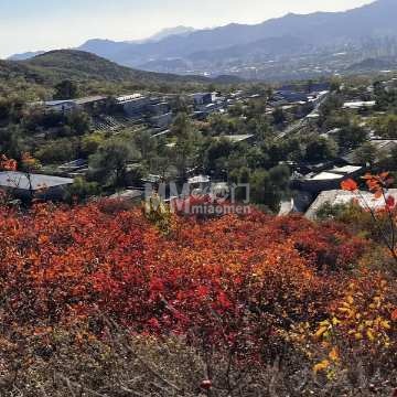 法海寺森林公园-公园/广场-妙门养生体验网