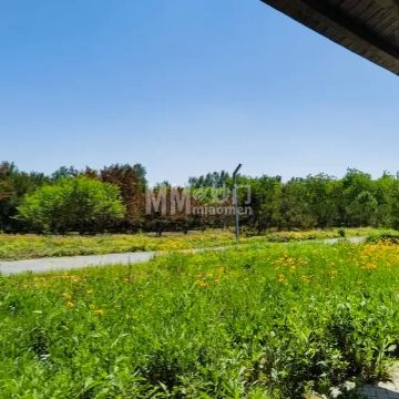 马驹桥湿地公园2期-公园/广场-妙门养生体验网