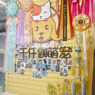 千仟伽萌宠-其他宠物服务-妙门养生体验网