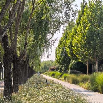 亦庄新城滨河森林公园-自然景观-妙门养生体验网