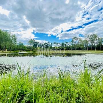 东郊湿地公园-自然景观-妙门养生体验网