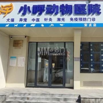 小呼动物医院（安贞店）-宠物医院-妙门养生体验网