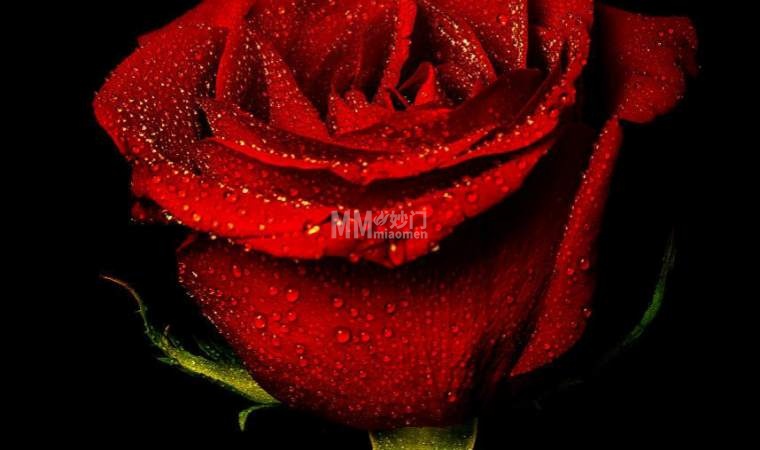 北京丝袜按摩–合规舒缓,不踩雷的新体验-资讯信息2-妙门养生体验网 北京丝袜按摩–合规舒缓,不踩雷的新体验-资讯信息2-妙门养生体验网