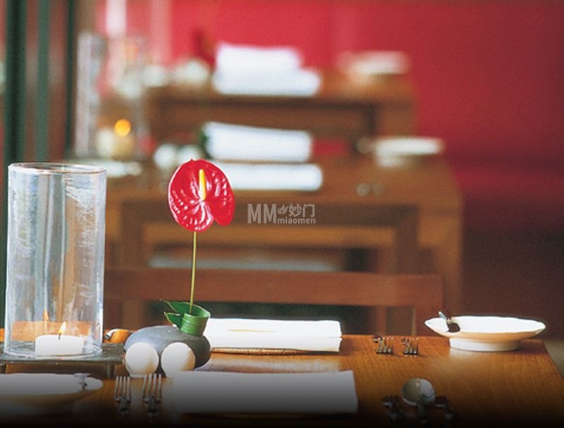 北京兔兔体验网:解锁京味春季养生新方式-资讯信息2-妙门养生体验网 北京兔兔体验网:解锁京味春季养生新方式-资讯信息2-妙门养生体验网