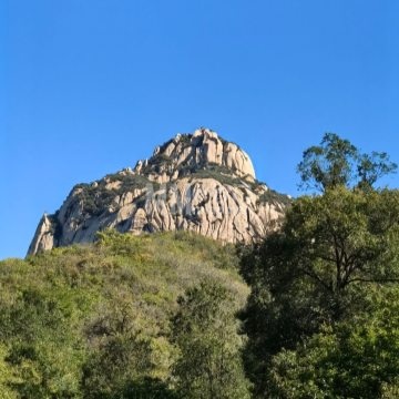 莲花山森林公园-公园/广场-妙门养生体验网