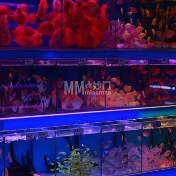 伟峰水族（湾子店）-其他宠物服务-妙门养生体验网