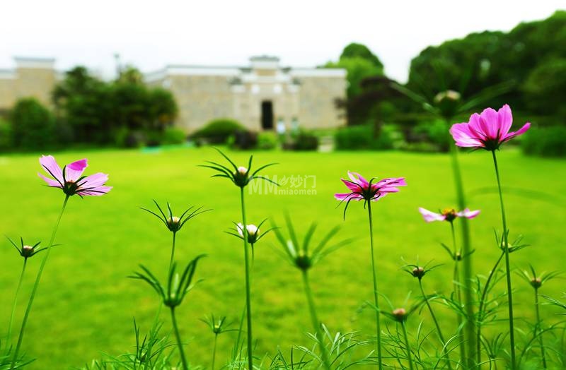 北京都市体验新玩法：从个人工作室到上门服务，一种无套路的养生松弛感-资讯信息-妙门养生体验网