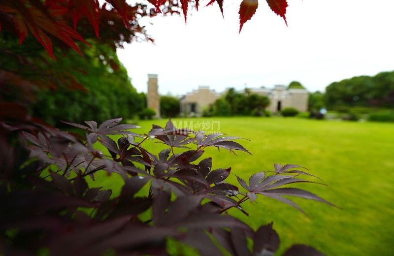 北京都市体验新玩法：从个人工作室到上门服务，一种无套路的养生松弛感-资讯信息2-妙门养生体验网