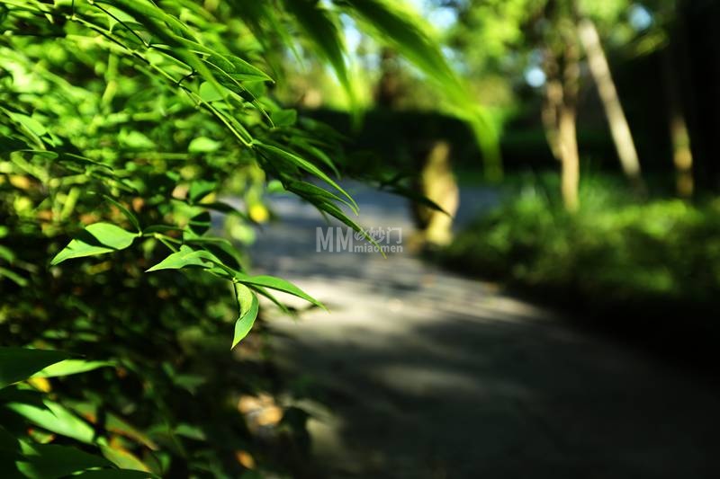 北京都市体验新玩法：从个人工作室到上门服务，一种无套路的养生松弛感-资讯信息3-妙门养生体验网