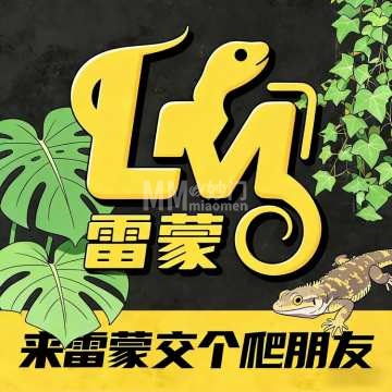 雷蒙爬宠（东坝店）-其他宠物服务-妙门养生体验网