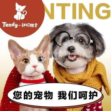 甜町猫舍.宠物馆（朝阳大悦城店）-购宠-妙门养生体验网