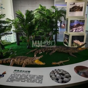 北京鳄鱼欢乐谷-游乐场-妙门养生体验网 北京鳄鱼欢乐谷-游乐场-妙门养生体验网