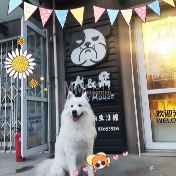 犬&窝宠物生活馆（石景山店）-宠物食品/用品-妙门养生体验网