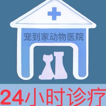 宠到家24h动物医院（安河家园店）-宠物医院-妙门养生体验网