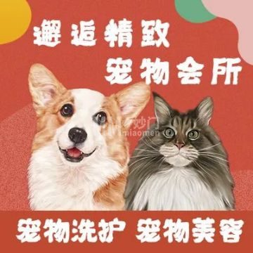 邂逅精致宠物会所-其他宠物服务-妙门养生体验网