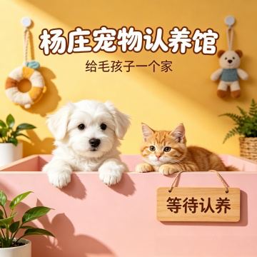 杨庄湃多阁宠物认养馆(古城店)-购宠-妙门养生体验网 杨庄湃多阁宠物认养馆(古城店)-购宠-妙门养生体验网