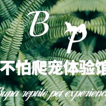 不怕爬宠体验馆-其他宠物服务-妙门养生体验网