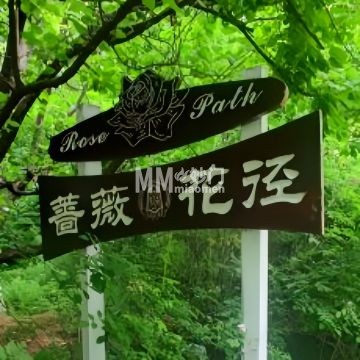 蔷薇花径-动植物园-妙门养生体验网