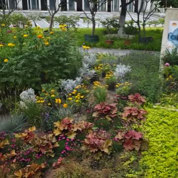 四季园-动植物园-妙门养生体验网