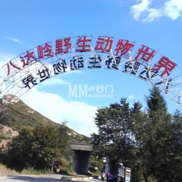 八达岭野生动物世界-动植物园-妙门养生体验网