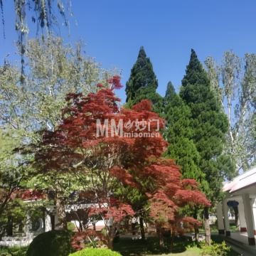 育新苑宾馆植物园-动植物园-妙门养生体验网