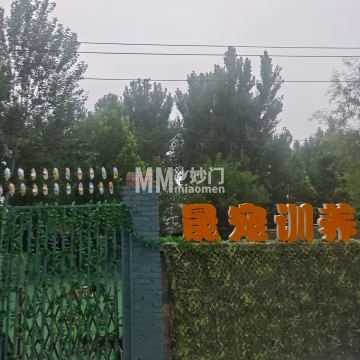 晟宠训养-其他宠物服务-妙门养生体验网