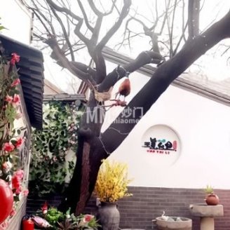 瑶台里.四合院轰趴馆