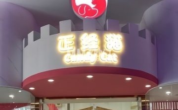 正经猫撸猫馆