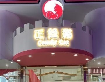 正经猫撸猫馆