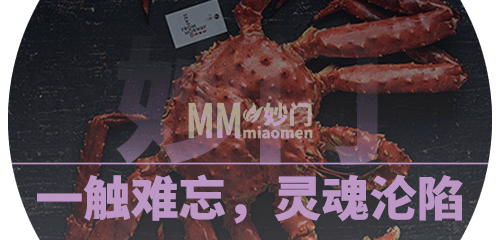 一触难忘，灵魂沦陷
