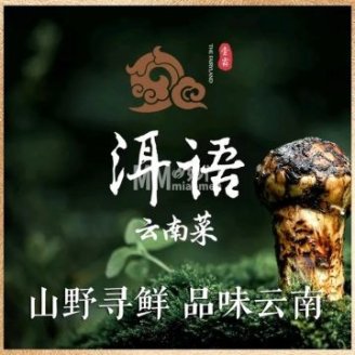 壹霖.洱语云南菜（首钢园店）