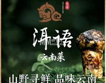 壹霖.洱语云南菜（首钢园店）