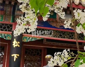戒台寺(4A)