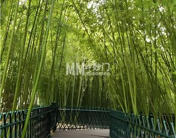 紫竹院公园(4A)