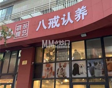 八戒宠物·认养·售卖·寄养(百子湾店)
