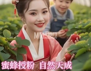 双欣草莓采摘园