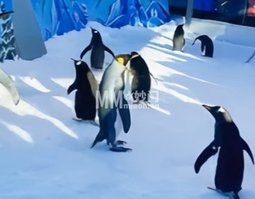 第十五届陶然亭冰雪嘉年华