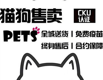 萌壳宠物·精品猫狗活体售卖·直营店