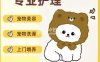 初缘爱宠
