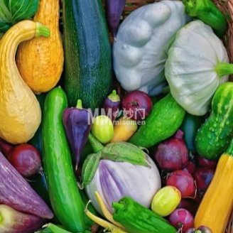 双新观光采摘园