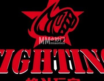 Fighting格斗玩家